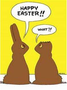 cd5f3c56a0bb0453be06850b64fd03a5--funny-things-funny-stuff.jpg
