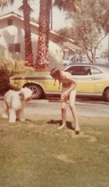 challenger and sheepdog.jpeg