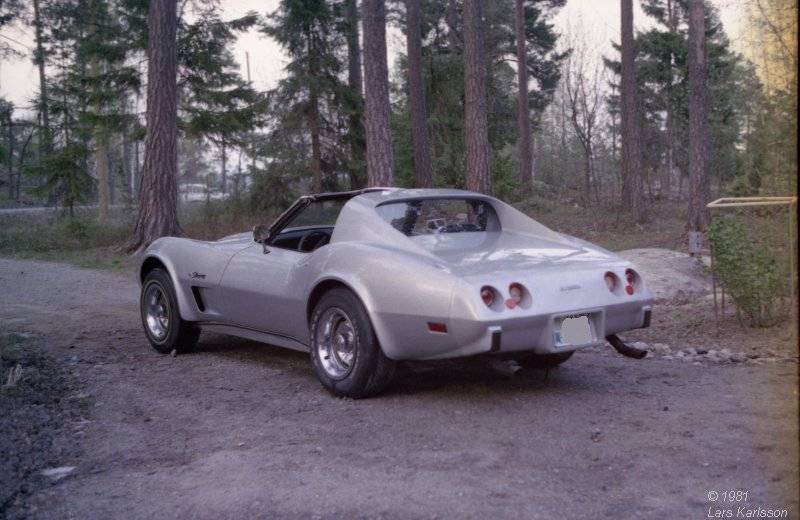 chevrolet-corvette-1976-03.jpg