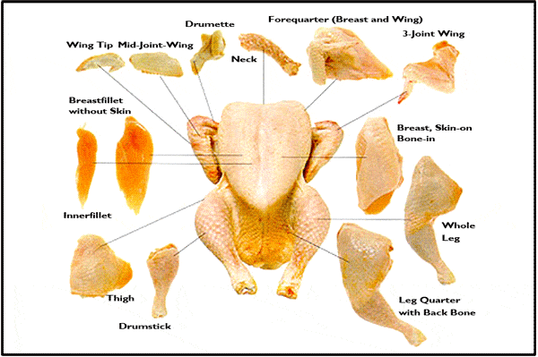 Chicken meat cuts.gif