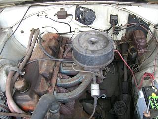 CIMG0237.JPG