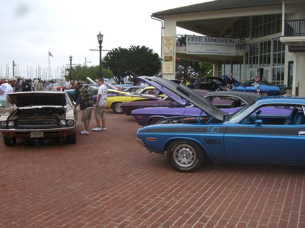 CIMG2509.jpg