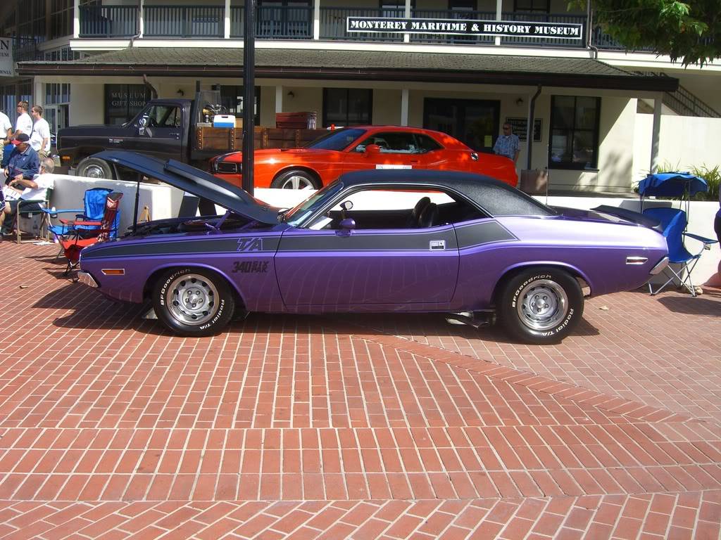 CIMG2532-1.jpg