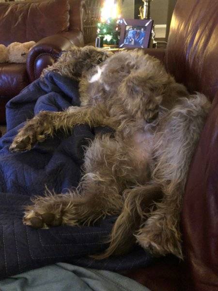 comfort.jpg