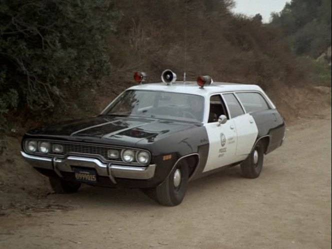 cop car wagon.jpeg