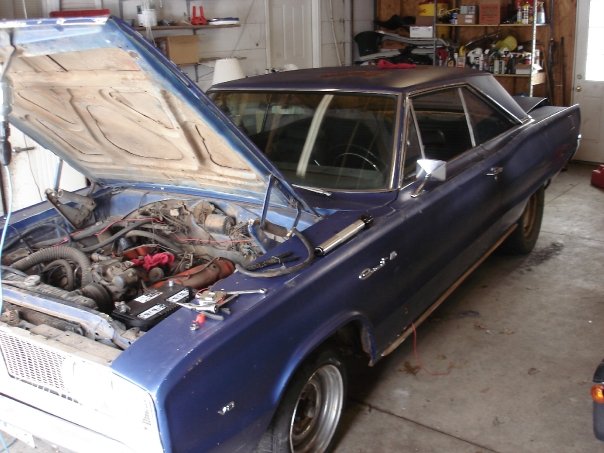 Coronet 1.jpg
