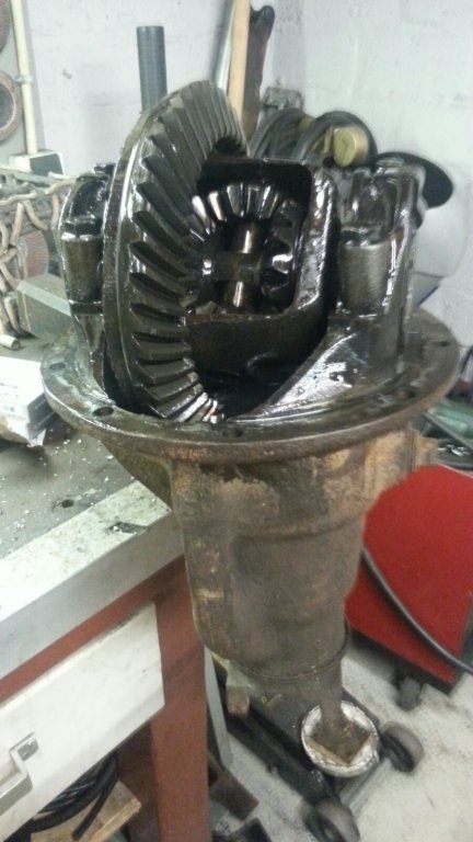 coronet 131b.jpg