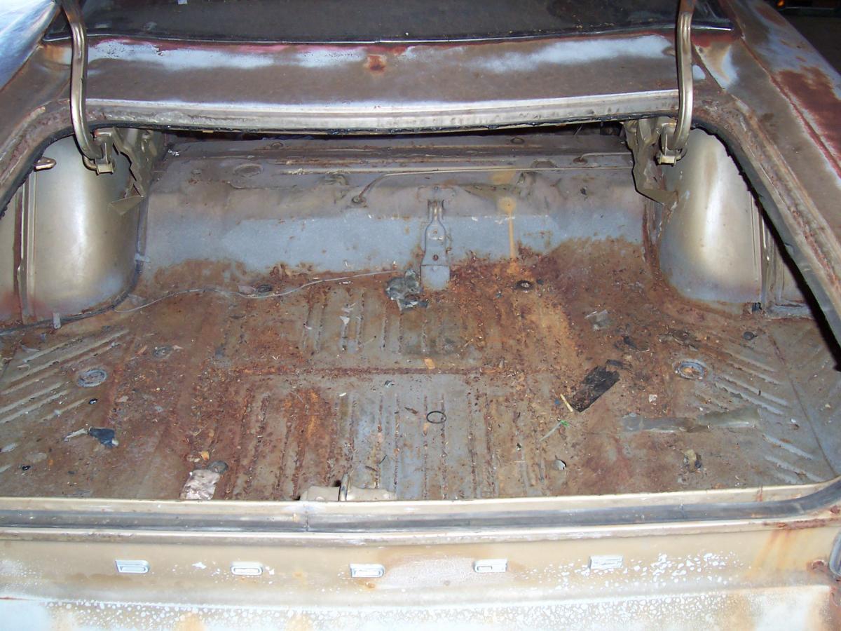 Coronet 5.jpg