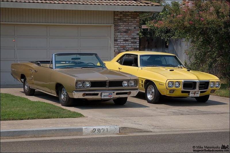 coronet-firebird-01-web.jpg