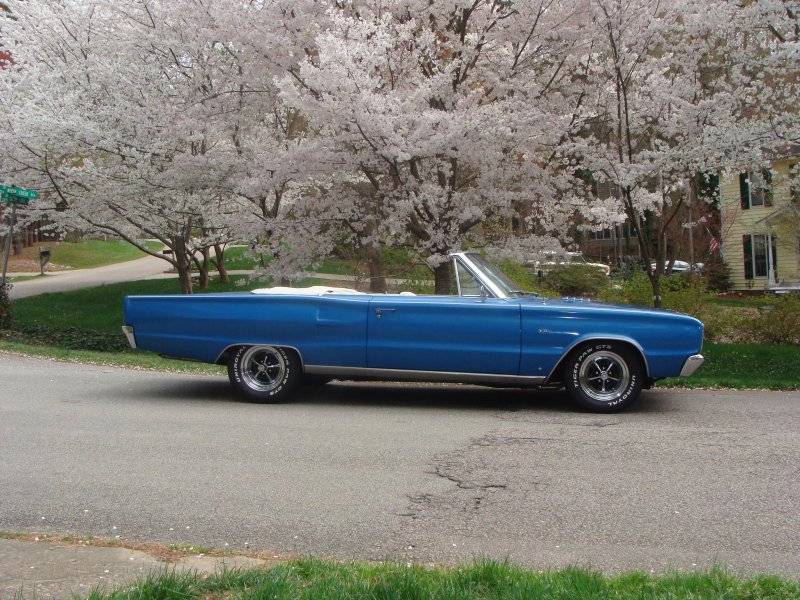 Coronet.JPG