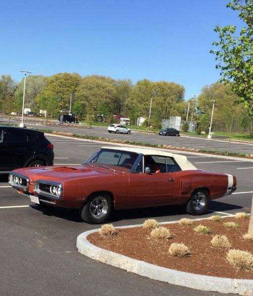 coronet.jpg