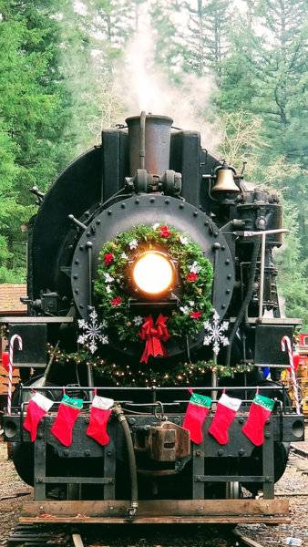 cristmas-tree-train.jpg