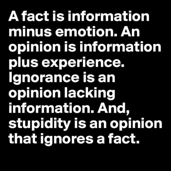 D) Information - facts minus emotions opinions based experiance stupidity Ignores facts.png