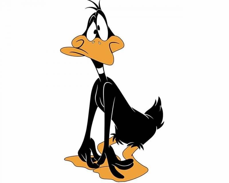 Daffy_Duck_cartoom_wallpaper.jpg