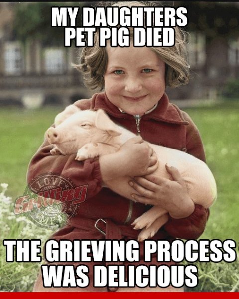 deadpig.jpg