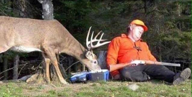 Deer Hunter.jpg