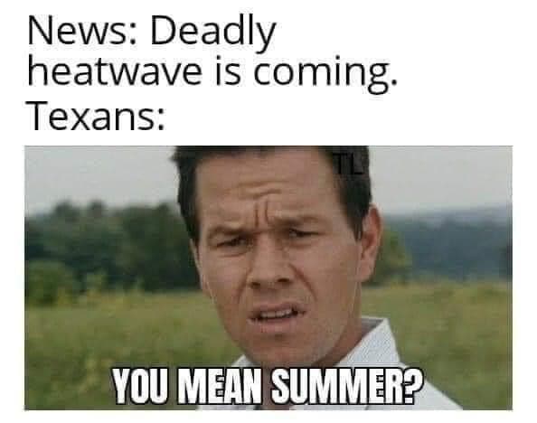 DFWCS_Memes_Summer.jpeg
