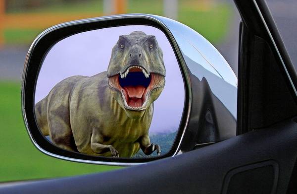 dinosaur-1564323_960_720.jpg