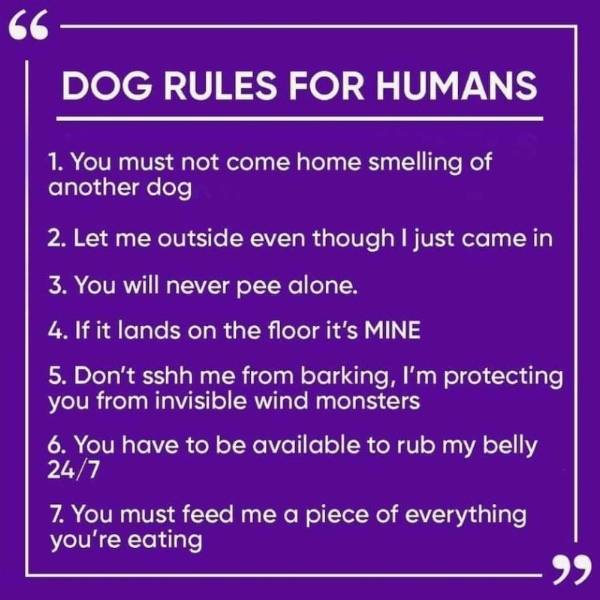 Dog 7 rules for Humans.jpg