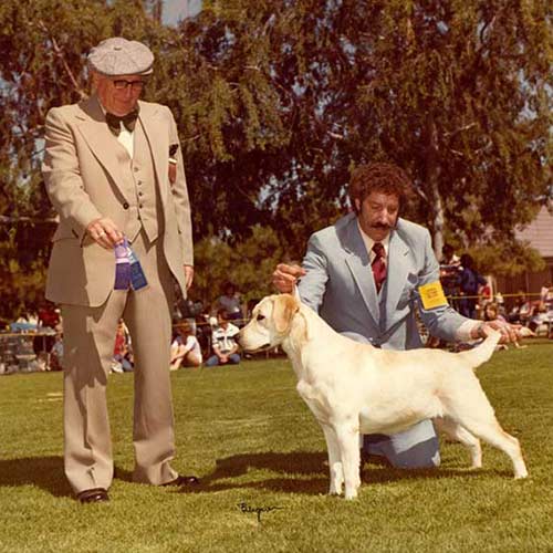 Dog AKC Labrador-Retriever-History-03.jpg