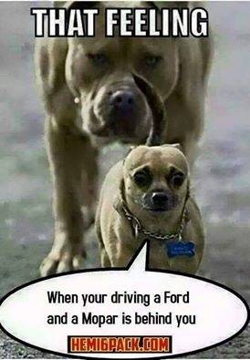 Dog Ford beeing chased by a Mopar.jpg