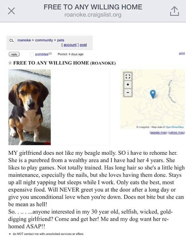Dog funny Girlfriend free-to-good-home.jpg