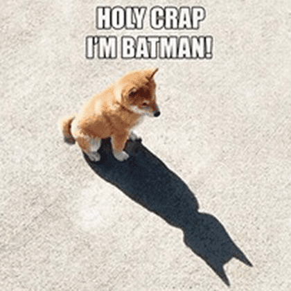 Dog Holy crap I'm Batman.png