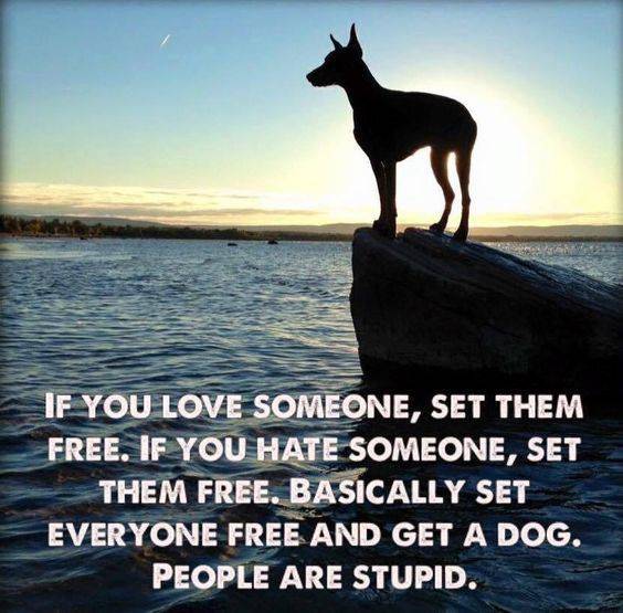 Dog If you love something set it free -get a dog people are stupid-.jpg