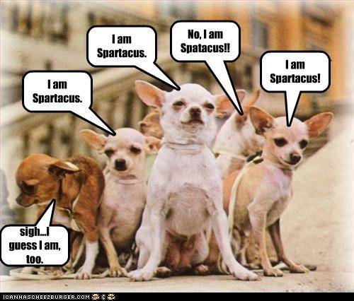 dog I'm Spartacas.jpg
