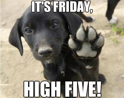 Dog It's Friday High Five.jpg