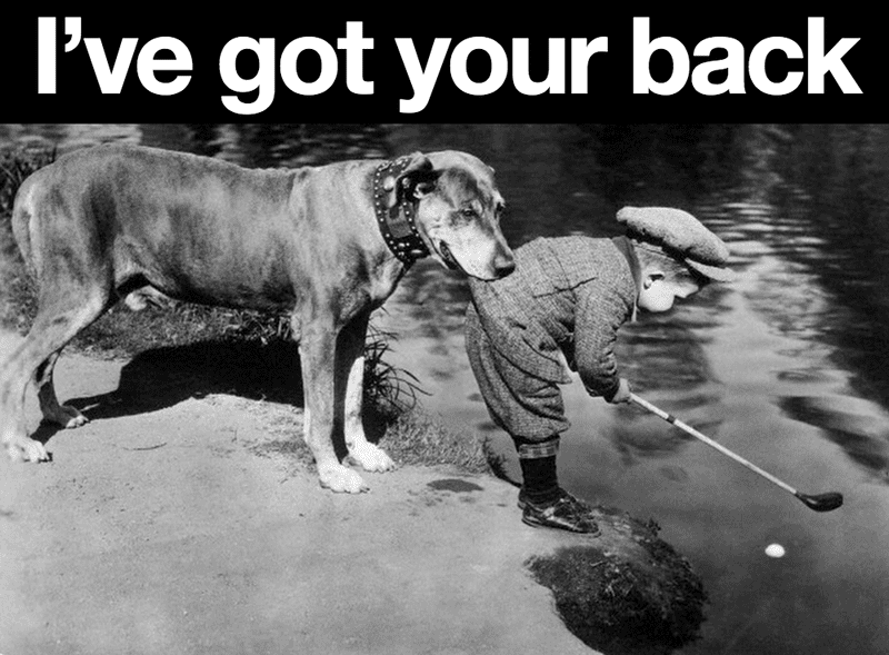 Dog I've got your back -dog holding on kid shorts-.png