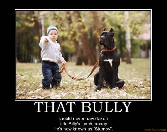 Dog kid sicks dog on bully.jpg