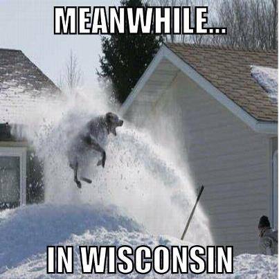Dog Meanwhile in Wisconsin.jpg