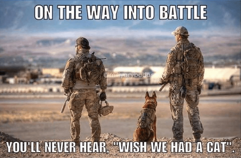 Dog Military you'll never hear wish we had a cat.png