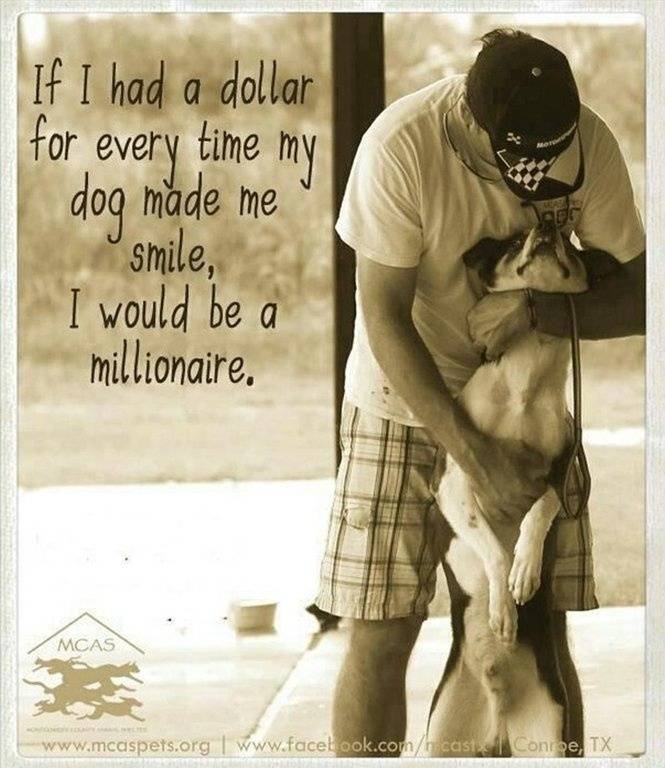 Dog Millionaire $1 Hugs.jpg