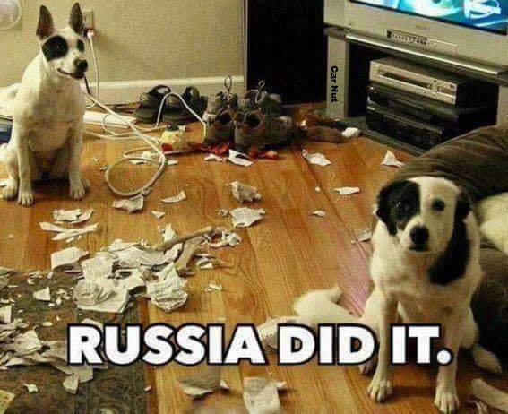Dog Russia Did it -mess-.jpg
