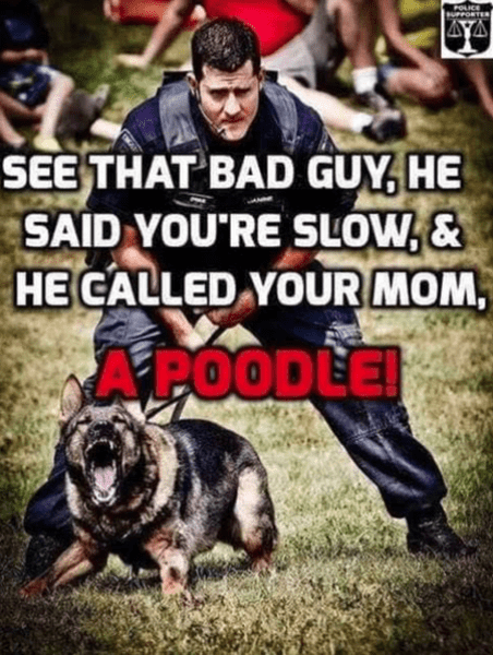 Dog Shepherd police dog see that bad guy he said your momma is a poodle.png