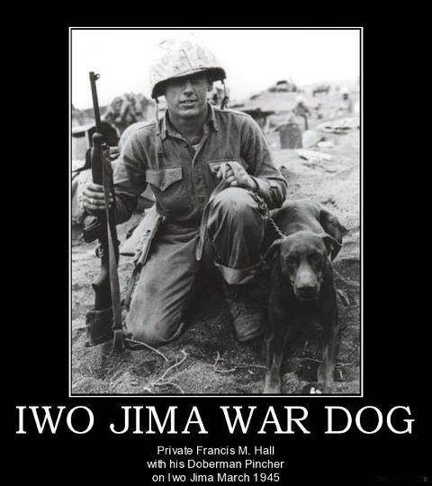 Dog War Dog Iwo Jima March 1945.jpg