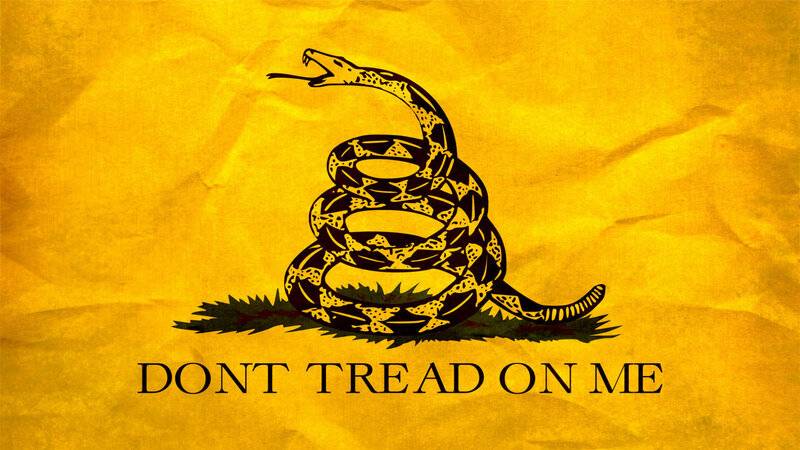 don-t-tread-on-me-wallpaper-1920x1080-e1465866447978.jpg