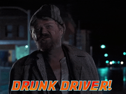 Drunk driver BTTF.gif