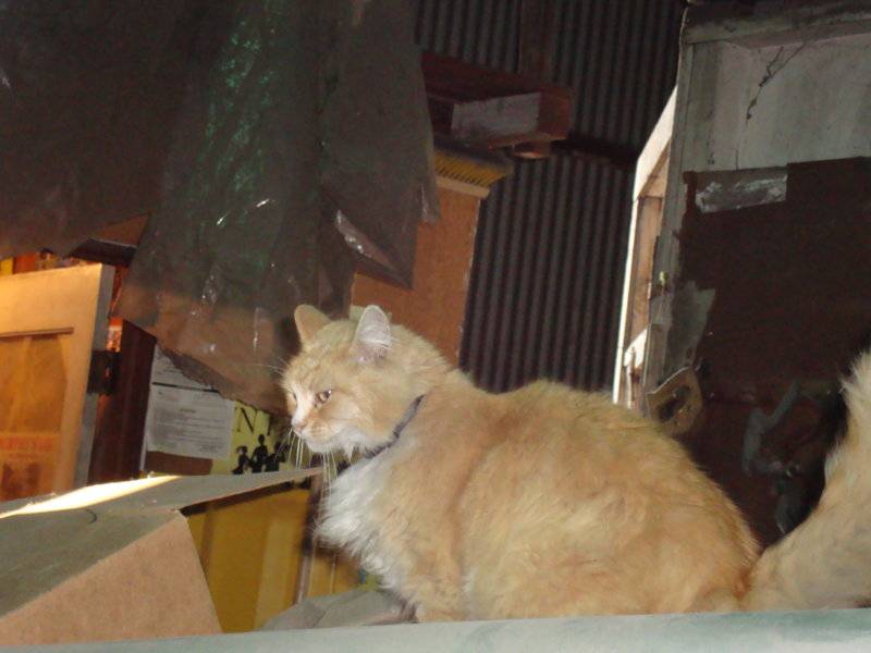 DSC00025.JPG