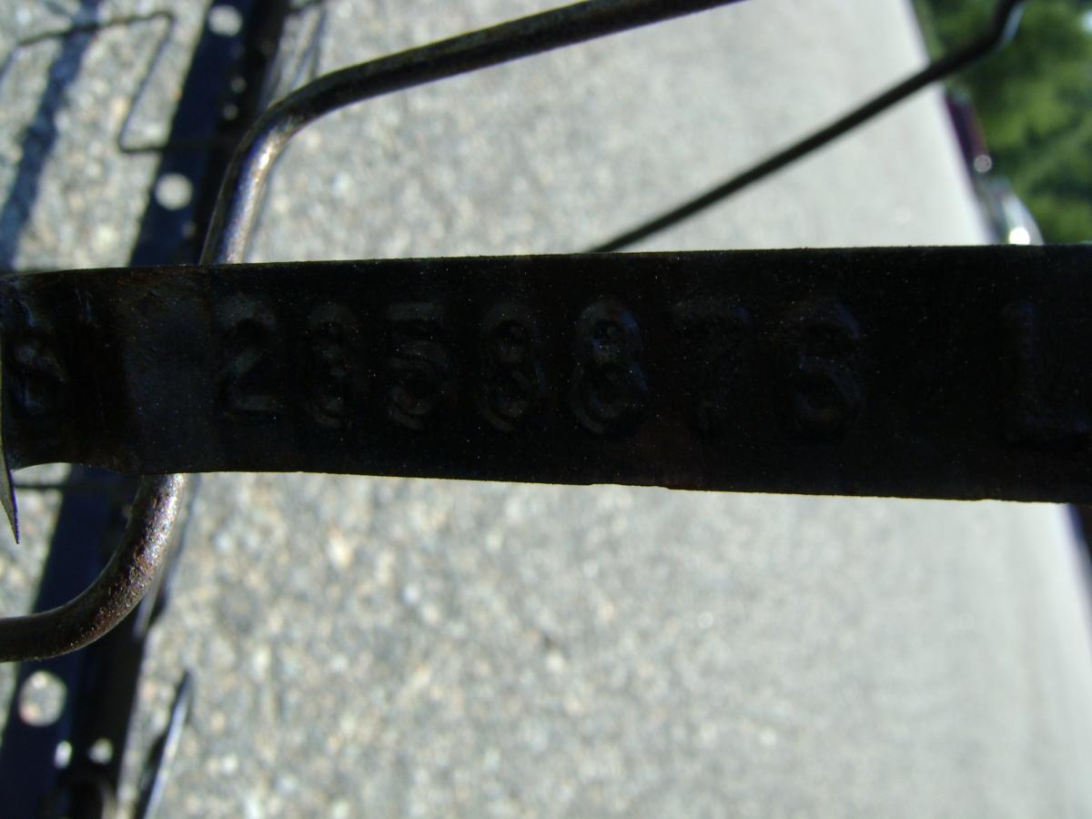 DSC00515.jpg