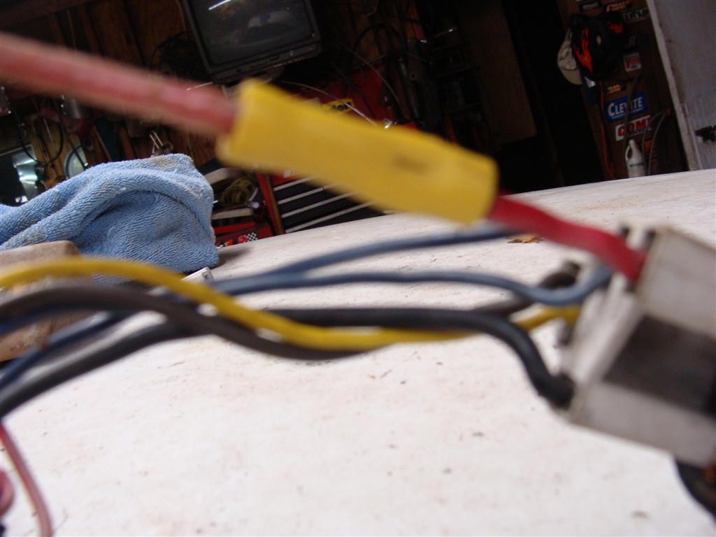 DSC00566 (Large) (2).JPG