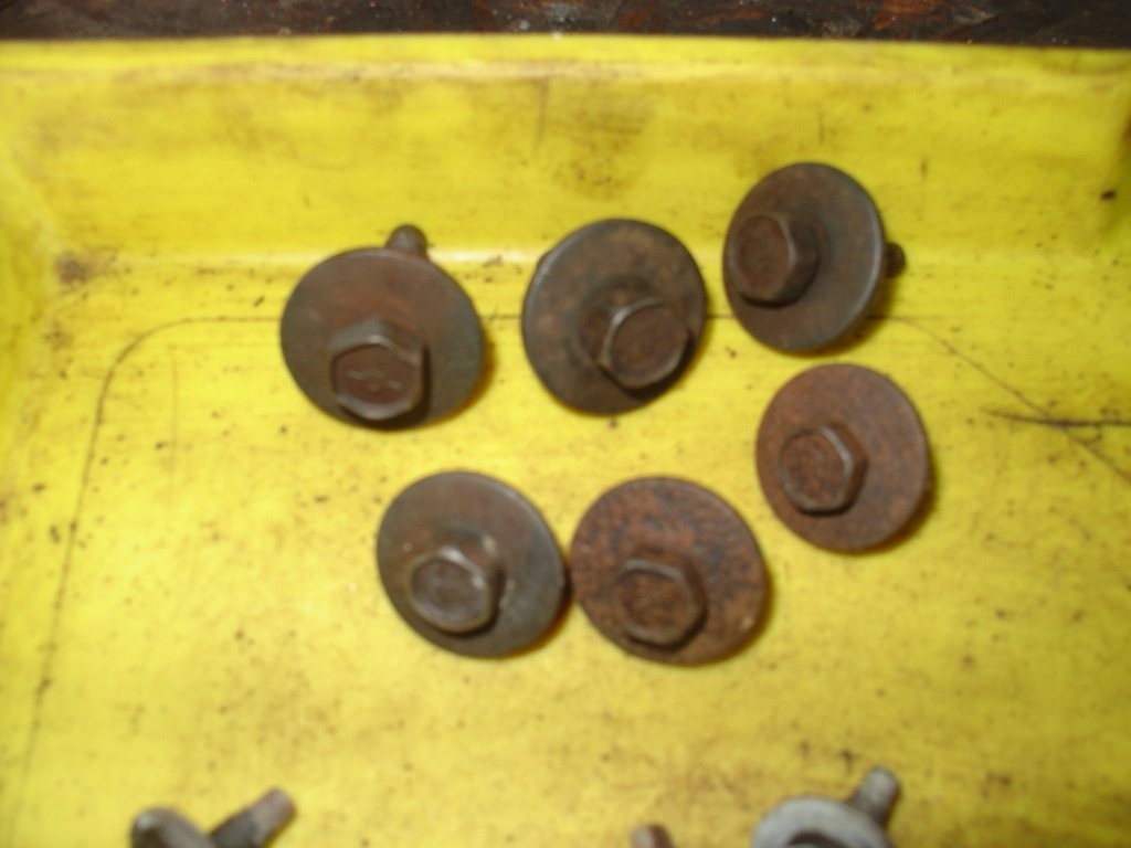 DSC00735.JPG