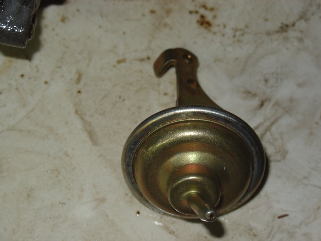 DSC00959.JPG