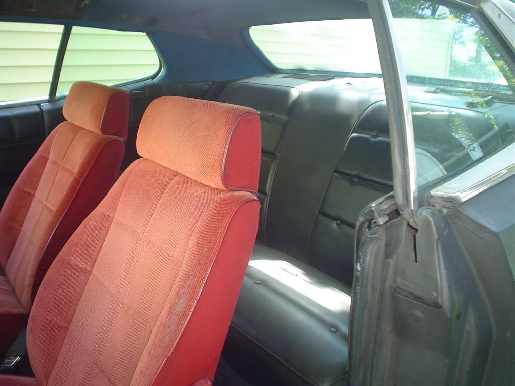 DSC01035.jpg
