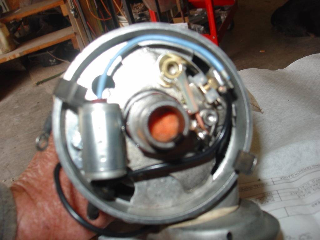 DSC01503.JPG