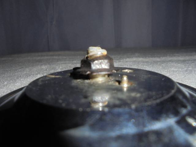 DSC02837.JPG