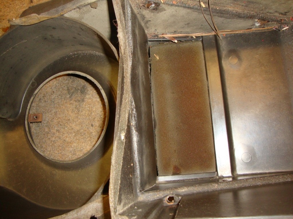 DSC03100.JPG