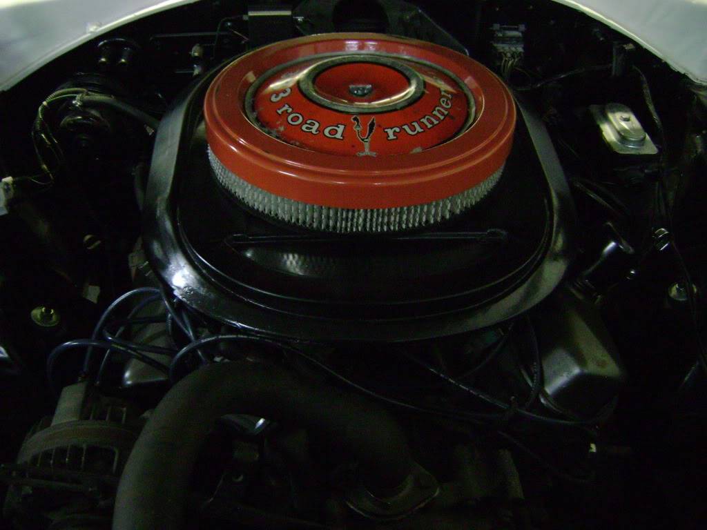DSC03524.jpg